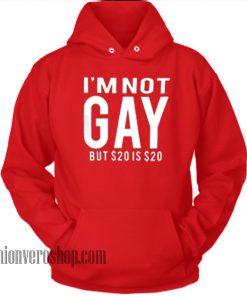 I'm Not Gay HOODIE - Unisex Adult Clothing