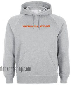 You're Not In My Plans Grey HOODIE - Unisex Adult Clothing