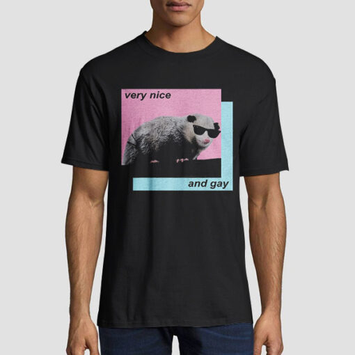 Funny Cute Opossum Very Nice and Gay Shirt