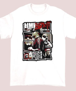 Vintage Limp Bizkit Still Sucks Tour Shirt